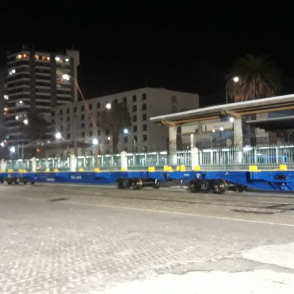 VagonesPlanosFEPASA2